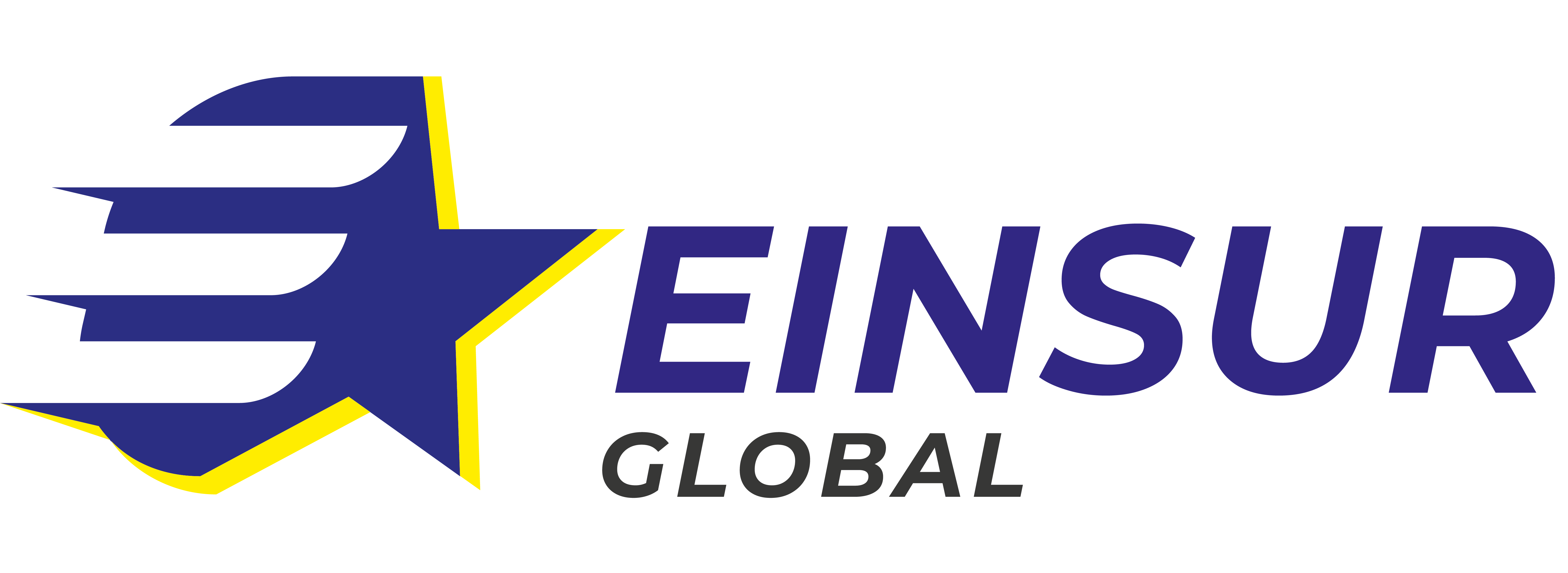 EINSUR Logo